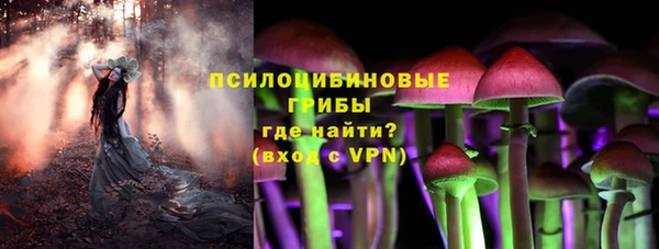 герыч Алексин