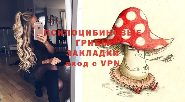 герыч Алексин